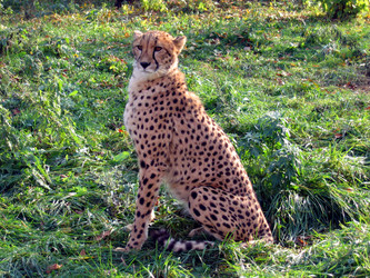 Similar image 719410