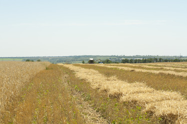 Similar image 719465