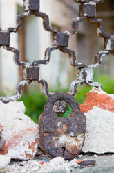 Similar image 719493