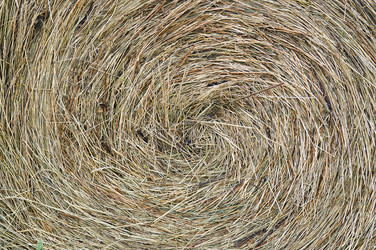 Similar image 719502