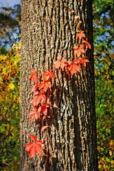 Similar image 719523