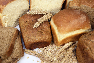 Similar image 719558