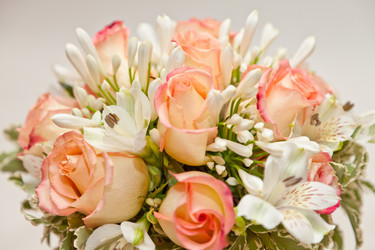 Similar image 719716