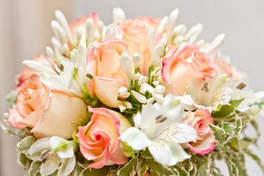 Similar image 719721