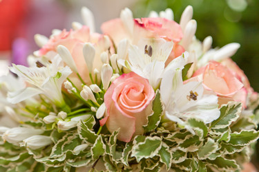 Similar image 719723