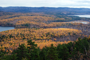 Similar image 719784