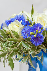 Similar image 719791