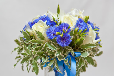 Similar image 719792