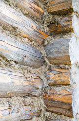 Similar image 719813