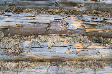 Similar image 719819