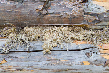 Similar image 719820