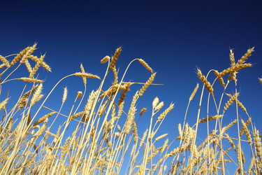 Similar image 719841