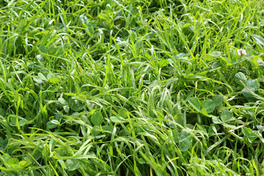 Similar image 719842