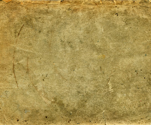 Similar image 719895