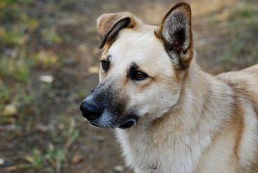 Similar image 719897