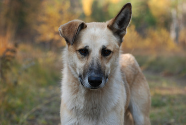 Similar image 719900