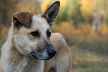 Similar image 719902