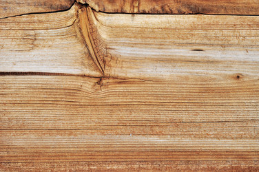 Similar image 719926