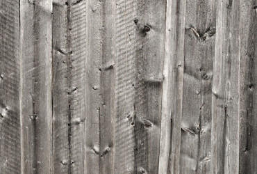 Similar image 719928