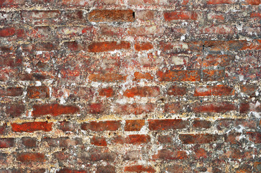 Similar image 719930