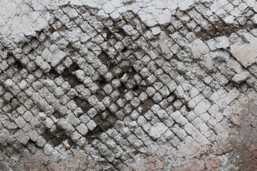 Similar image 719936