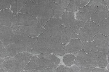 Similar image 719943