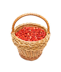 Similar image 720013