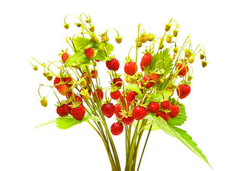 Similar image 720014