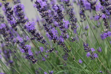 Similar image 720016