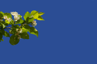 Similar image 720022