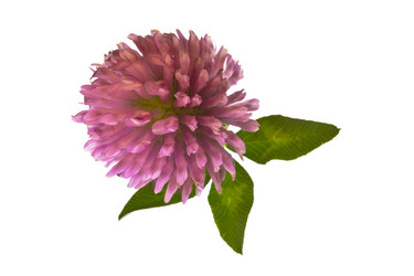 Similar image 720049