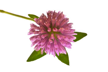 Similar image 720050