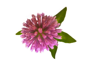 Similar image 720051