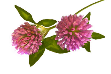 Similar image 720052