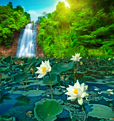 Similar image 720053