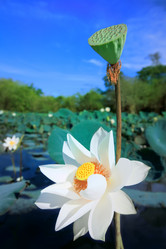 Similar image 720054