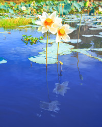 Similar image 720055