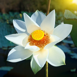 Similar image 720056