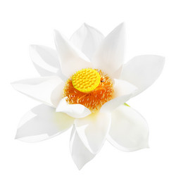 Similar image 720058