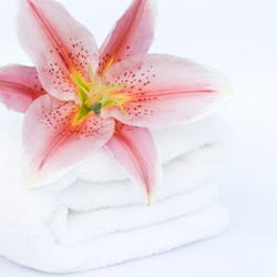 Similar image 720061