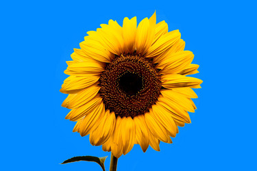 Similar image 720063