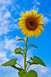 Similar image 720064