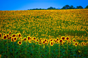 Similar image 720065