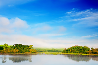 Similar image 720077