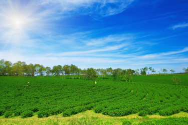 Similar image 720098