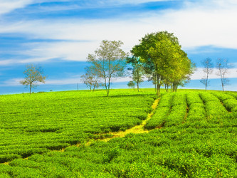 Similar image 720099