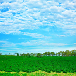 Similar image 720100