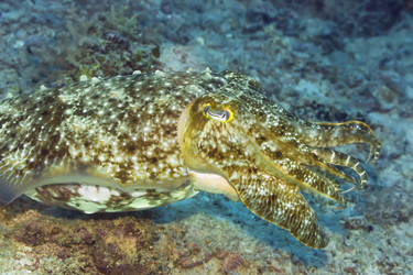 Similar image 720134