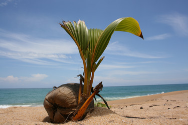 Similar image 720145