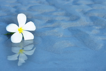 Similar image 720169